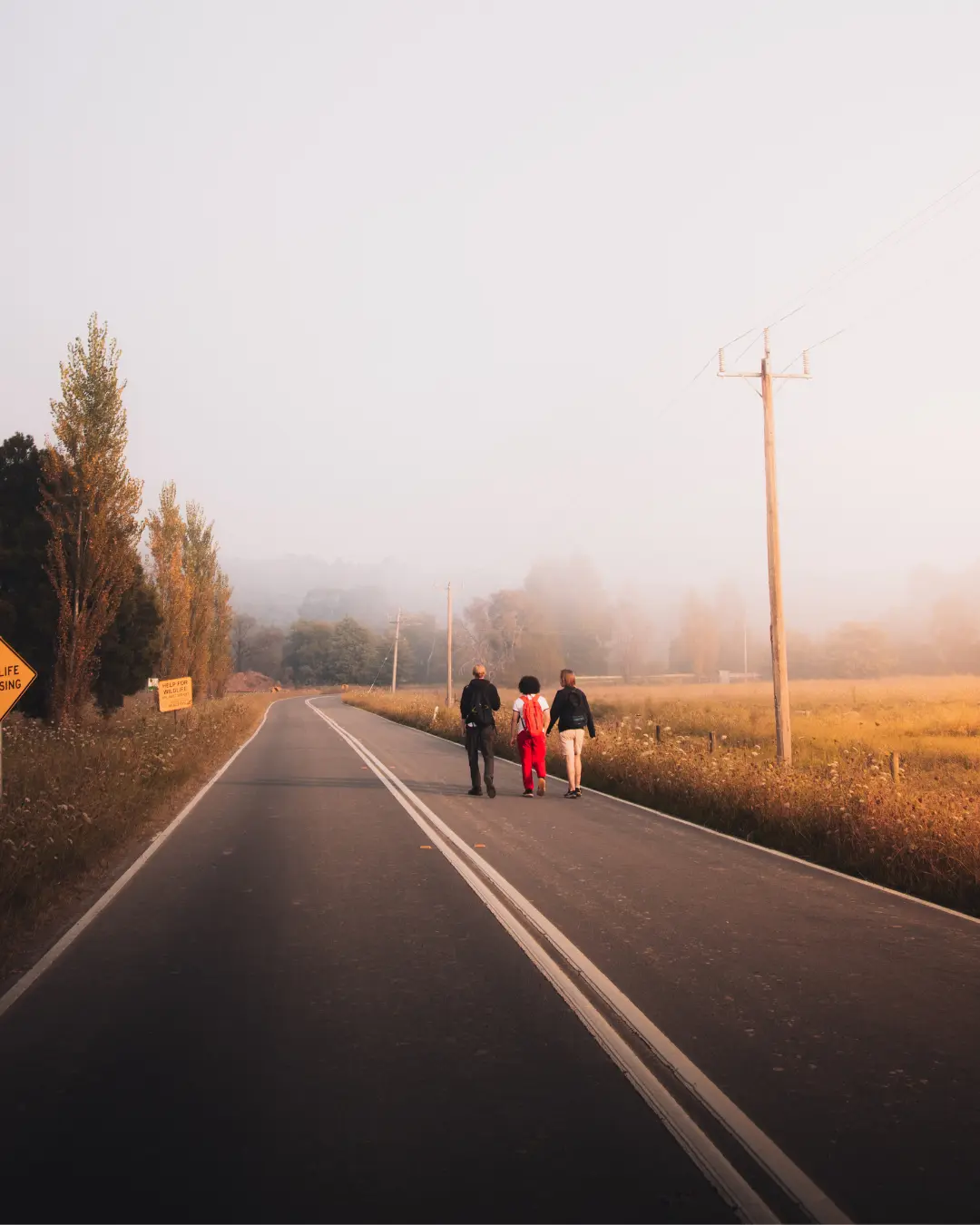 Flowity About Us background image showing AI-driven road monitoring and smart infrastructure