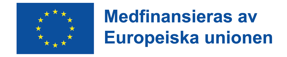 EU Logo